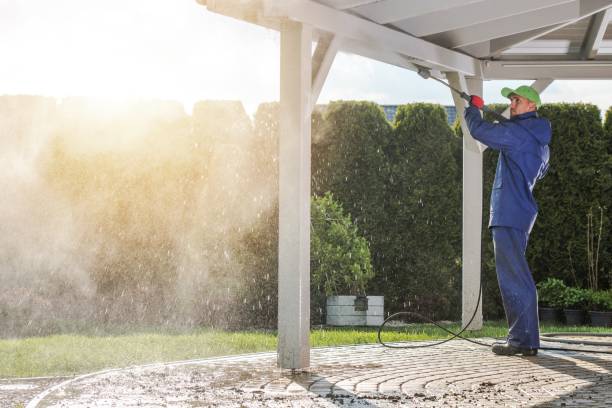 Best Pre-Holiday Cleaning  in Nederland, TX